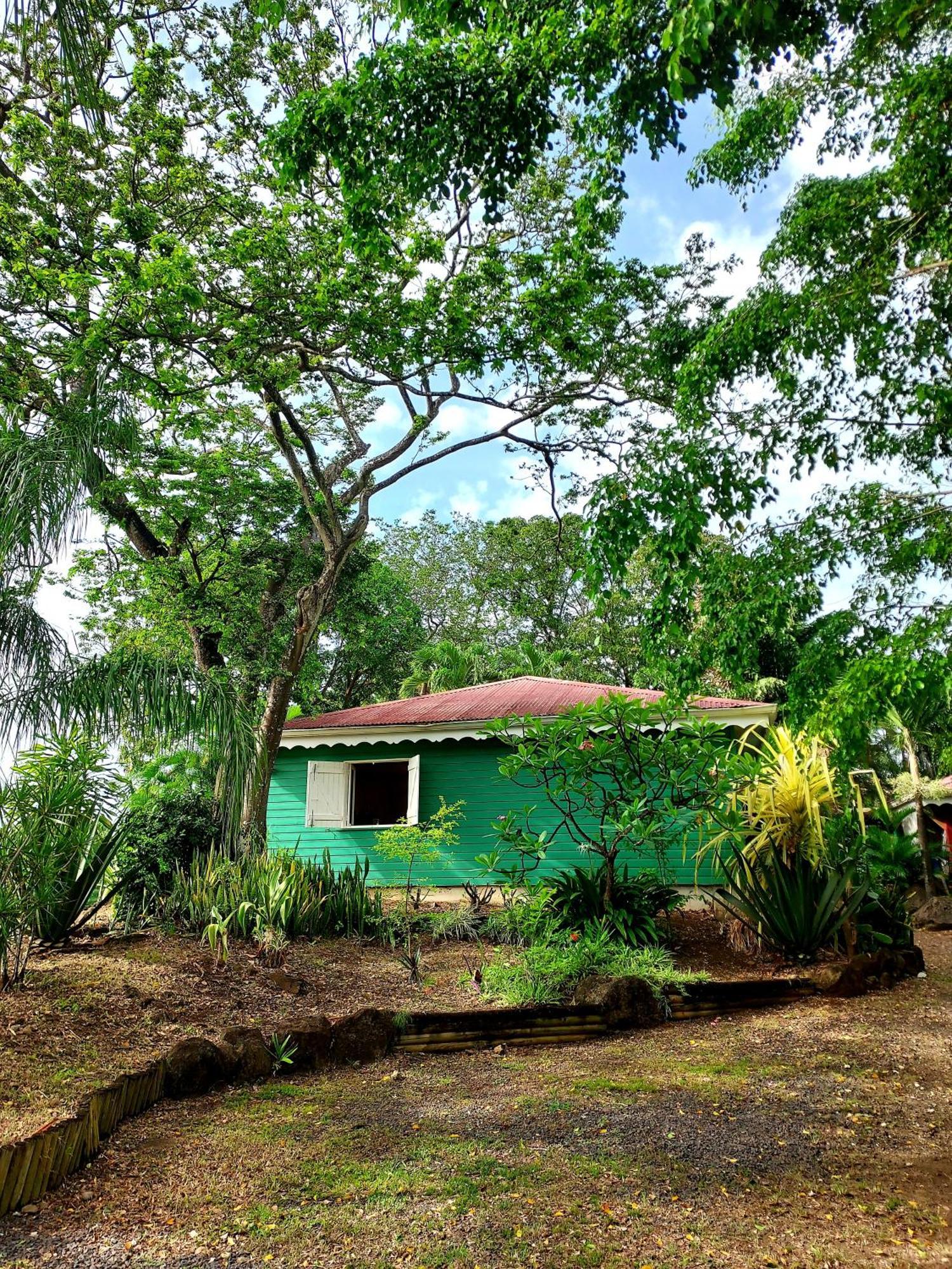 Bungalow Du Jardin Botanique De Deshaies Kamer foto